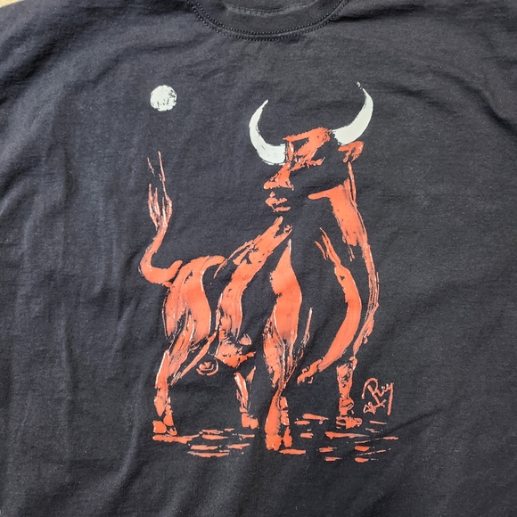 Fruit of the Loom Chicago Bulls Black Tee with Red Bull Design NBA Basketball - Picture 2 of 3